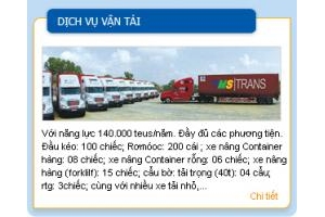 CHO THUE XE CONTAINER TAI HCM