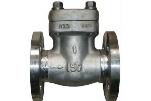 class 150~1500 swing check valve