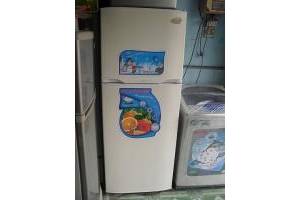 Tủ lạnh Electrolux 270 lít không đóng tuyết