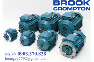 Động cơ điện Brook Crompton