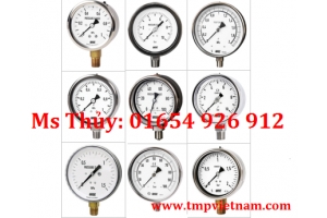 Đồng hồ đo áp suất Wise - P229 – Wise Vietnam