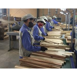 Công ty CP TM Công nghiệp và Chế biến gỗ
