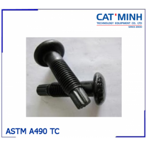BU LÔNG ASTM A490 TC