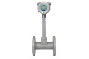 Flowmeter (Đồng hồ lưu lượng)