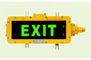 Đèn exit, sự cố, thoát hiểm chống cháy - WAROM