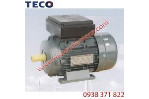 Motor TECO 1 Pha