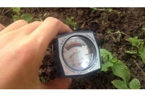 Máy đo pH & độ ẩm đất Takemura DM-15