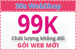 Giới thiệu Web30s Giải Pháp Tối Ưu Website Giá Rẻ