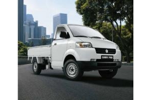 Đại lý uỷ quyền Chính thức hàng đầu của SUZUKI, Suzuki Truck, Pro nhập khẩu nguyên chiếc