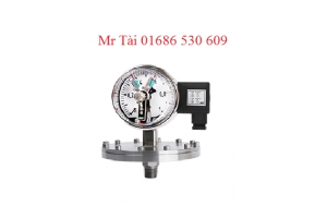 Đồng hồ đo áp suất - Wise Control Vietnam - TMP Vietnam
