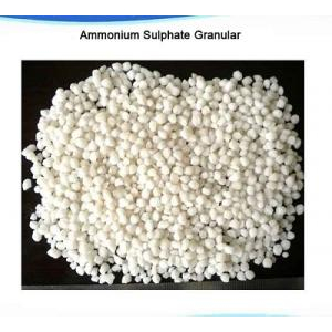 Phèn nhôm -  Ammonium Sulphate  (Granular) - (NH4)2SO4