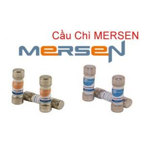 Đại lý phân phối sản phẩm Mersen tại Việt Nam