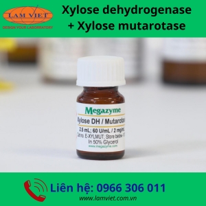Xylose dehydrogenase + Xylose mutarotase