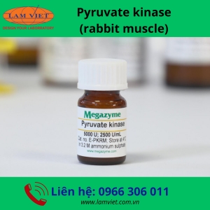 Pyruvate kinase (rabbit muscle)