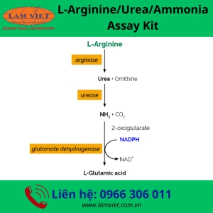 Bộ Kit Test Megazyme- Ireland (L-Arginine/Urea/Ammonia Assay Kit)