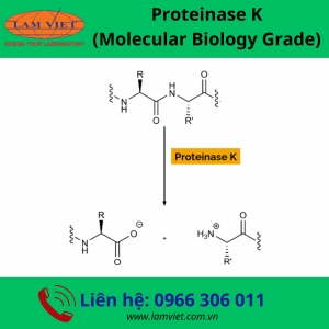 Proteinase K (Molecular Biology Grade)