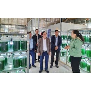 Triển Khai Các Giải Pháp Thúc Đẩy Công Nghiệp Phát Triển - Triển Khai Các Giải Pháp Thúc Đẩy Công Nghiệp Phát Triển