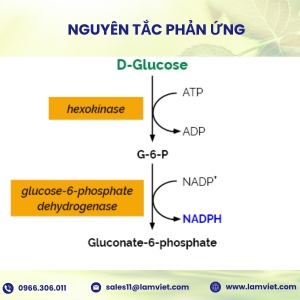 D-Glucose HK Assay Kit