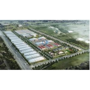 Khuyến Công Bình Định Hỗ Trợ Hiệu Quả Cho Doanh Nghiệp Thiết Kế Bao Bì, Xây Dựng Điểm Giới Thiệu Sản Phẩm - Khuyến Công Bình Định Hỗ Trợ Hiệu Quả Cho Doanh Nghiệp Thiết Kế Bao Bì, Xây Dựng Điểm Giới Thiệu Sản Phẩm