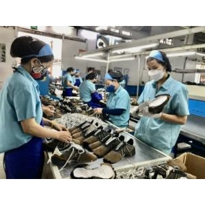 Doanh Nghiệp Da Giày Chịu Nhiều Sức Ép Trong \