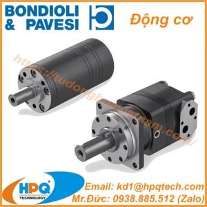 Động cơ Bondioli Pavesi - Bơm bánh răng Bondioli Pavesi