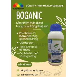 BOGANIC - Bổ gan, tái tạo tế bào gan, giải độc giúp gan khoẻ đẹp, tôm cá phát triển tốt