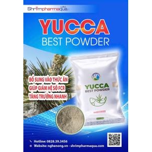 YUCCA BEST POWDER - YUCCA bột trộn yucca cho ăn, Hấp thu khí độc NH3, H2S, NO2 trực tiếp từ trong ruột tôm cá