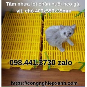 Tấm nhựa lót chăn nuôi heo gà vịt chó 400x550x35mm