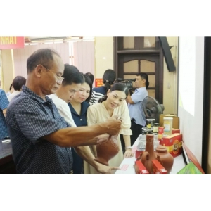 Hà Nam Phát Triển Sản Phẩm Công Nghiệp Nông Thôn Tiêu Biểu - Hà Nam Phát Triển Sản Phẩm Công Nghiệp Nông Thôn Tiêu Biểu