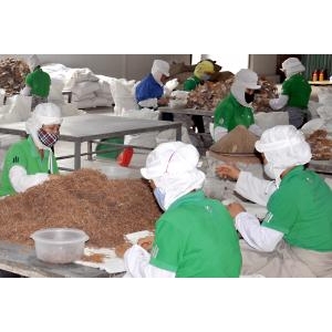 Giá trị sản xuất công nghiệp Yên Bái đạt 100,89% so với kịch bản tăng trưởng hai con số 10,5% - Giá Trị Sản Xuất Công Nghiệp Yên Bái Đạt 100,89% So Với Kịch Bản Tăng Trưởng Hai Con Số 10,5%