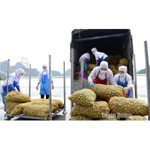 Hoàn thiện hạ tầng thu hút đầu tư vào cụm công nghiệp - Hoàn Thiện Hạ Tầng Thu Hút Đầu Tư Vào Cụm Công Nghiệp