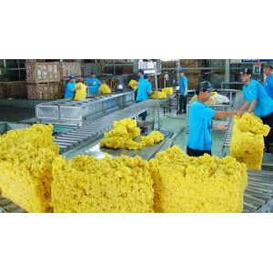 Cao su Việt Nam (GVR): Mục tiêu doanh thu tăng 6%, xúc tiến triển khai thêm gần 16.600 ha đất công nghiệp - Cao Su Việt Nam (Gvr): Mục Tiêu Doanh Thu Tăng 6%, Xúc Tiến Triển Khai Thêm Gần 16.600 Ha Đất Công Nghiệp