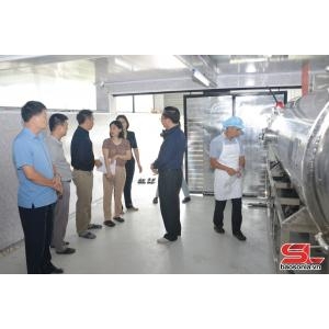 Thúc đẩy phát triển ngành công nghiệp - tiểu thủ công nghiệp - Thúc Đẩy Phát Triển Ngành Công Nghiệp - Tiểu Thủ Công Nghiệp