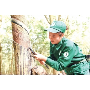 Vững bước vượt khó, kiến tạo sức bật mới - Vững bước vượt khó, kiến tạo sức bật mới