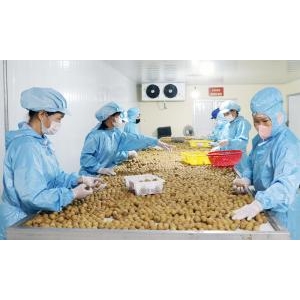 Xuất khẩu của tỉnh Bắc Ninh dẫn đầu cả nước: Dấu ấn từ nội lực - Xuất khẩu của tỉnh Bắc Ninh dẫn đầu cả nước: Dấu ấn từ nội lực