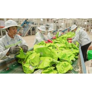 Năng suất bứt phá nhờ tư duy sản xuất linh hoạt - Năng suất bứt phá nhờ tư duy sản xuất linh hoạt